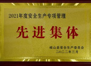 企业荣誉（images 14）