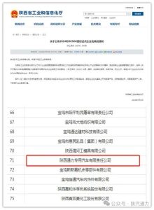 陕西通力入选2024年度DCMM贯标试点企业名单